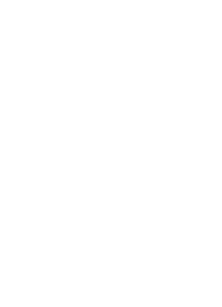 Inside The Swan Inn